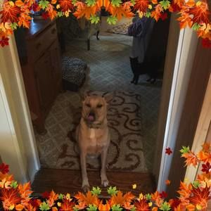 Meet your Posher, Lynn